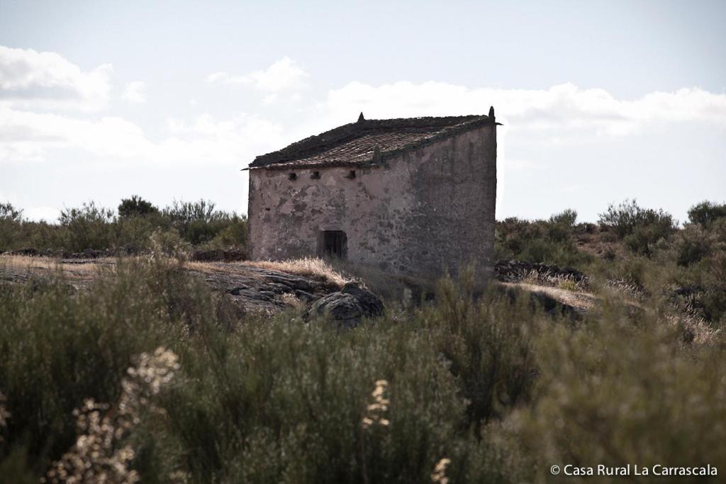 Casa Rural La Carrascala Zamora Exterior foto